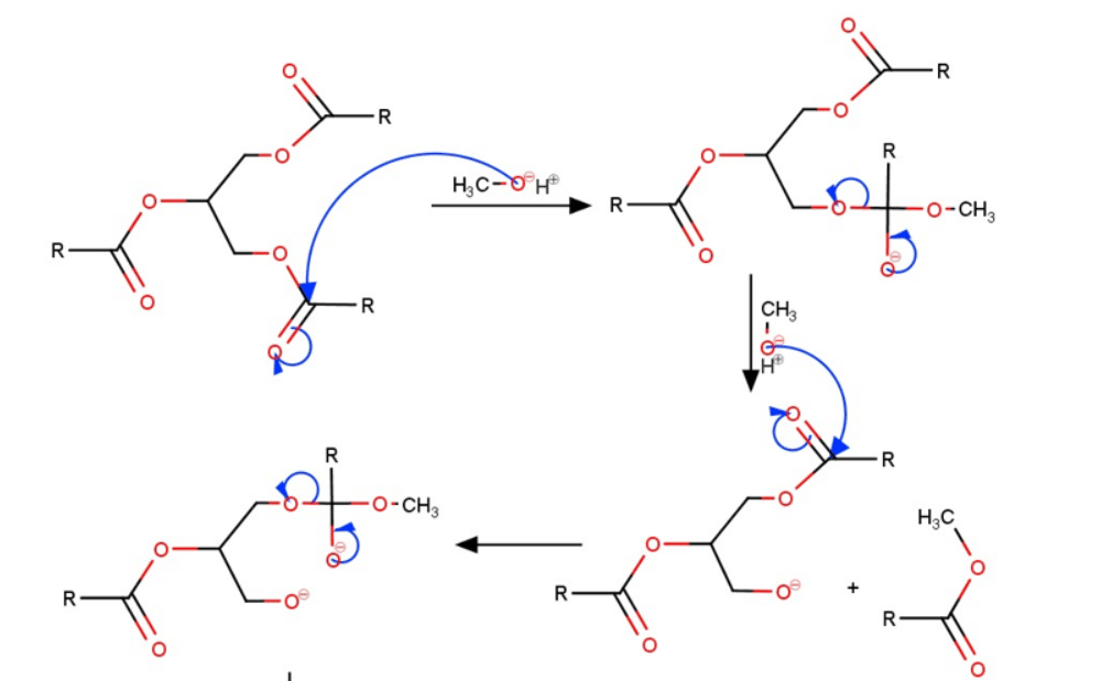 Draw a detailed, stepwise mechanism for the transesterification reaction that forms the biodiesel product in this reaction. You may use a generic representation of the triglyceride as shown in Figure