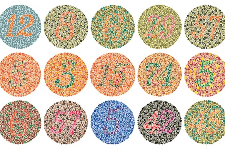 Am I Color Blind Quiz