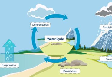 The Water Cycle quiz