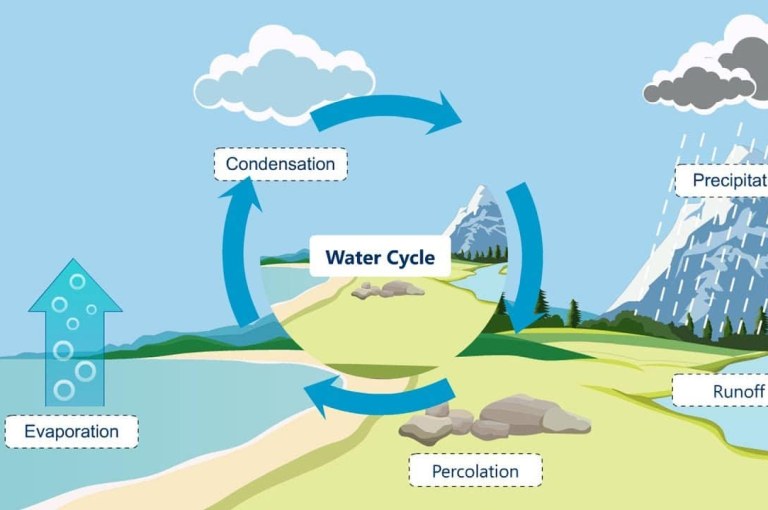 Water Cycle Quiz