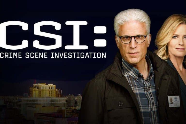 Which CSI Character Are You?